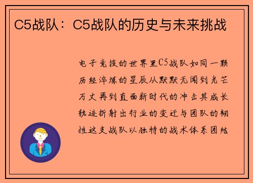 C5战队：C5战队的历史与未来挑战
